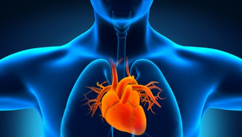 Nadwaga a arytmia serca